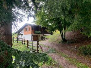 Hotels in Revò